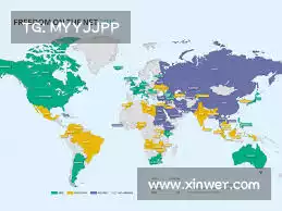 蜂鸟加速器免费——解锁潜在价值,带您迈向商业成功的新纪元。
